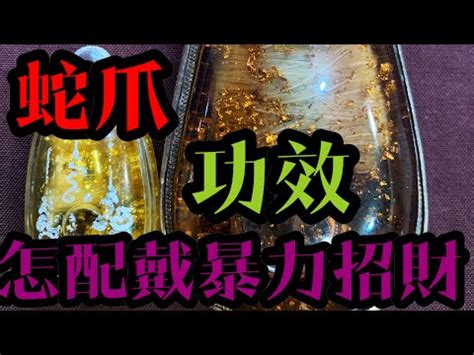 蛇爪禁忌|【蛇爪禁忌】揭開泰國蛇爪佛牌的禁忌秘密，不容錯過。